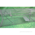 Cage Traps For Large Pest Animals Humane Hunting Live Animal Cage Traps Supplier